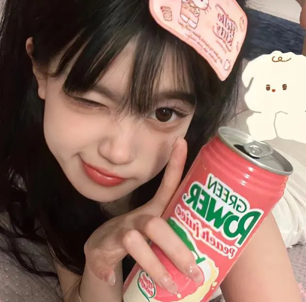 隐形红翼
